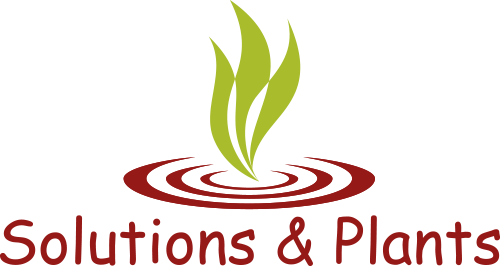 Solutions & Plants